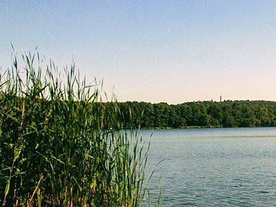 See in Brandenburg (c) Christopher Winkler via pixabay, CC0