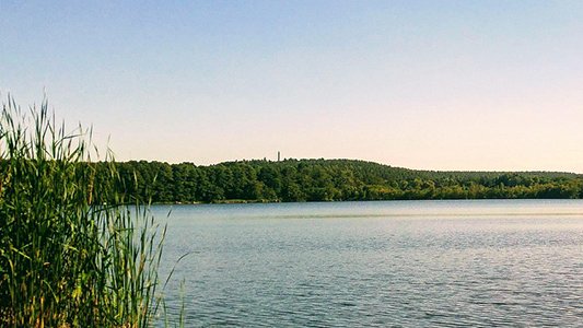 See in Brandenburg (c) Christopher Winkler via pixabay, CC0