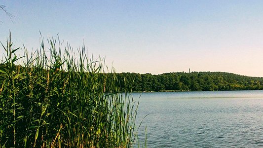 See in Brandenburg (c) Christopher Winkler via pixabay, CC0