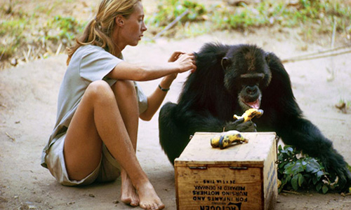 Standbild aus dem Film "Jane" (c) mindjazz pictures 